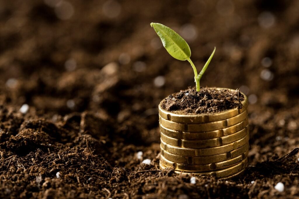 coins-stacked-dirt-with-plant-copy-space