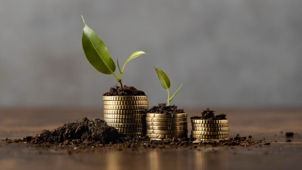 stacked-coins-with-dirt-plant